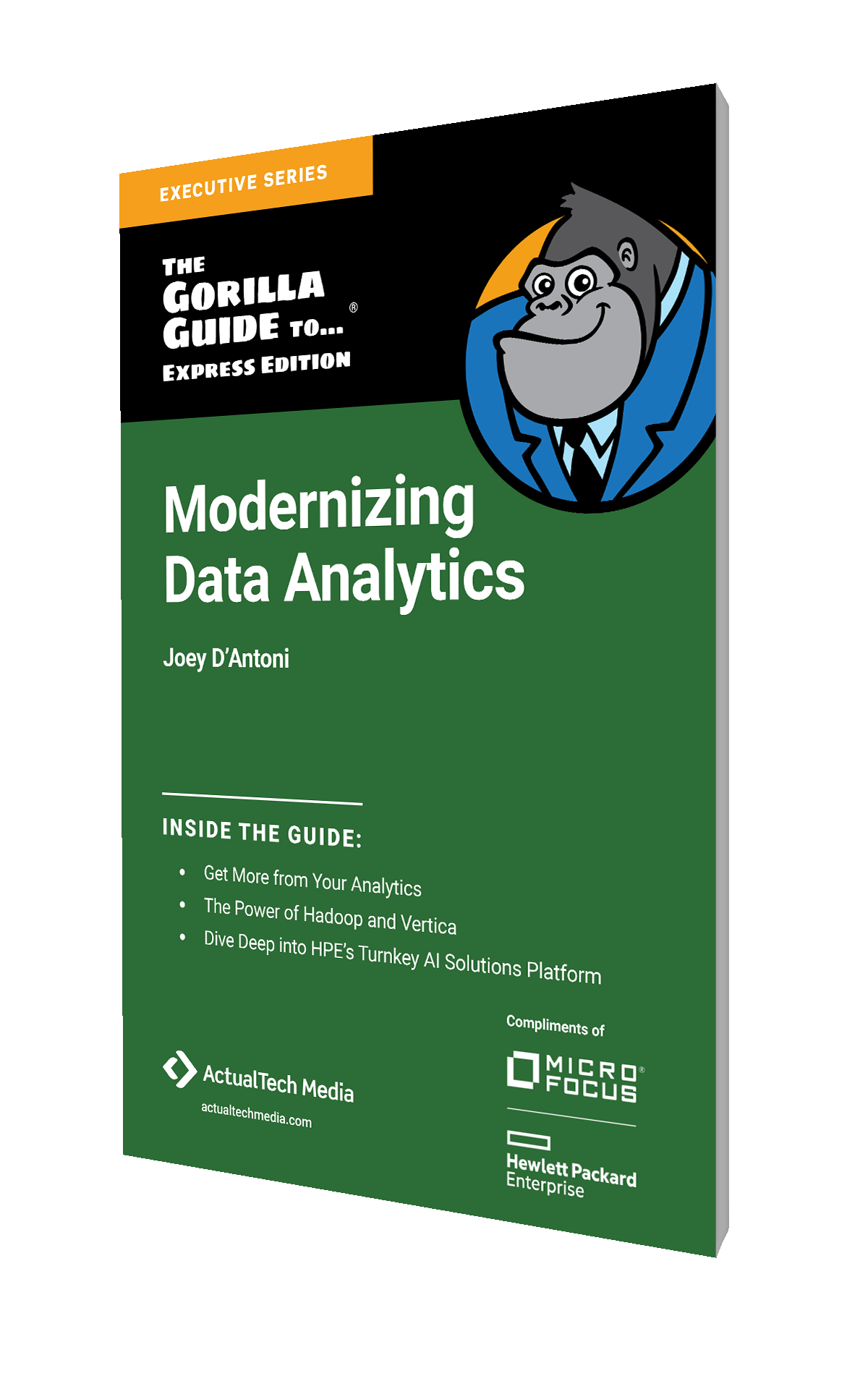 The Gorilla Guide To…® (Express Edition) Modernizing Data Analytics