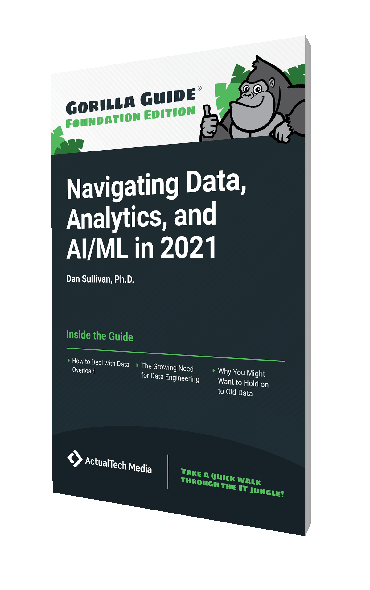 Gorilla Guide® (Foundation Edition): Navigating Data, Analytics, and AI/ML in 2021