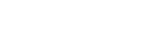Open Raven
