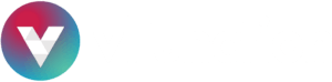 vFunction