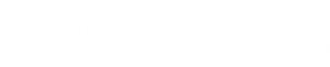 Bugcrowd