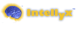 Intellyx