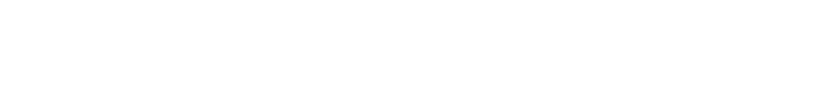 Bitsight
