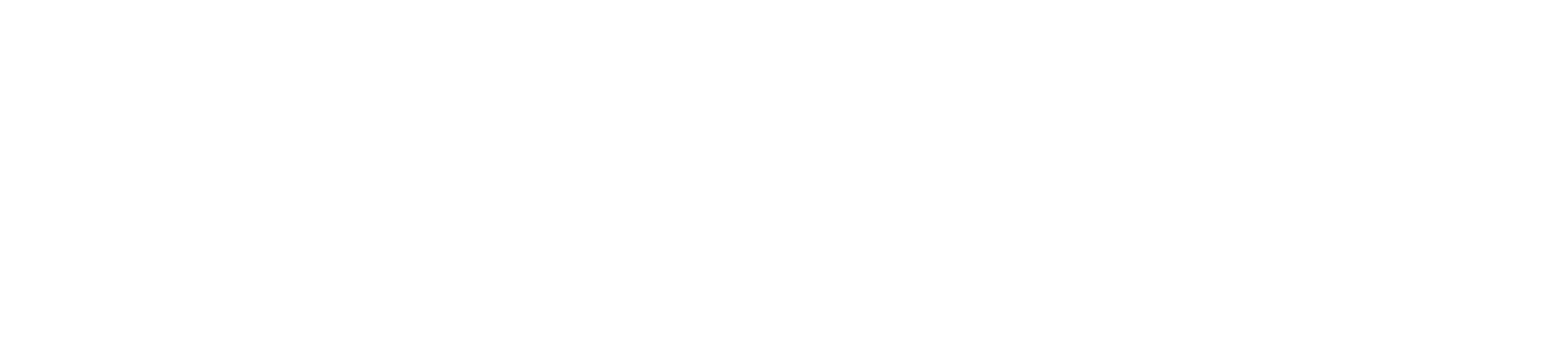 WorldTech IT