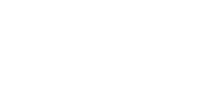Qlik