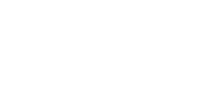 Netrio, llc