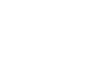 10zig